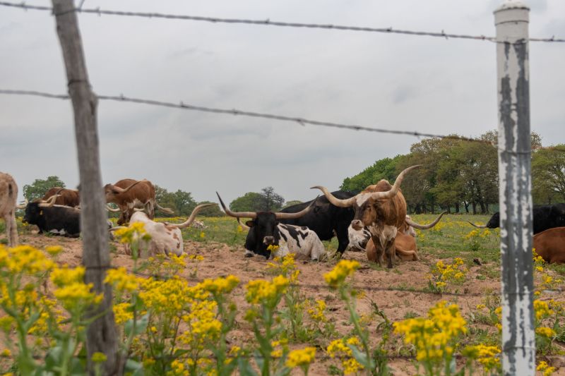 Pasture Fence Installation